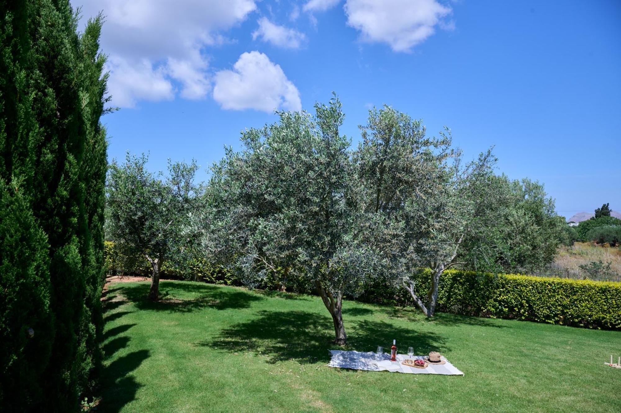 Kyamon Estate Luxury Villa Chrissi Akti Chania Exterior foto